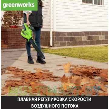 Воздуходувка Greenworks GD40BVII 2406907 (без АКБ) картинка 8